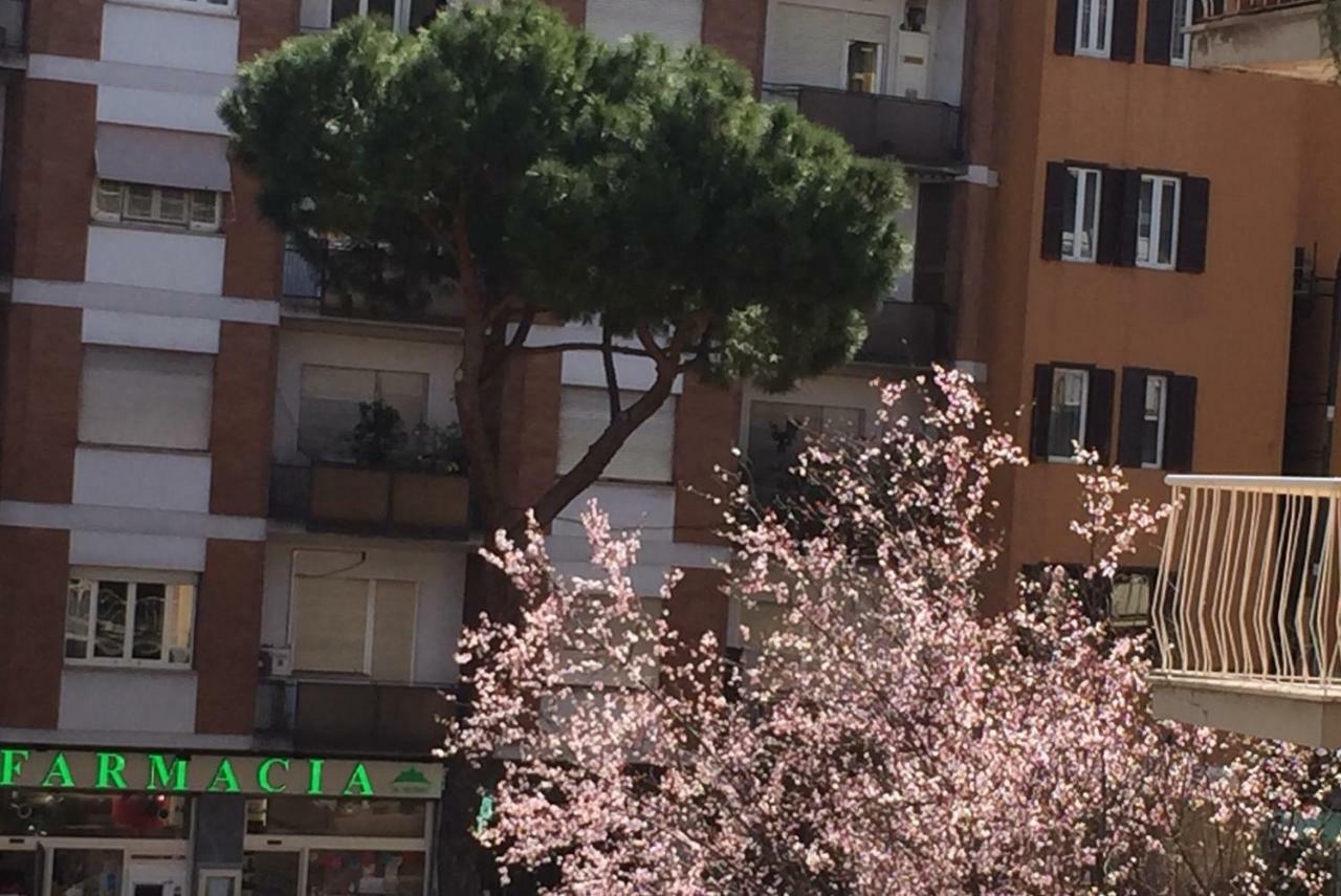 Sweet Saint Peter Apartamento